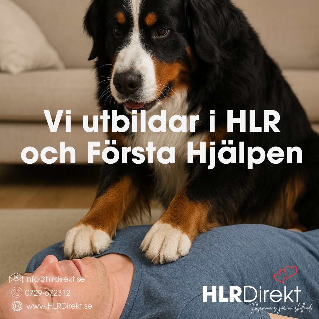 Utbildning i ditt hem - för familjen